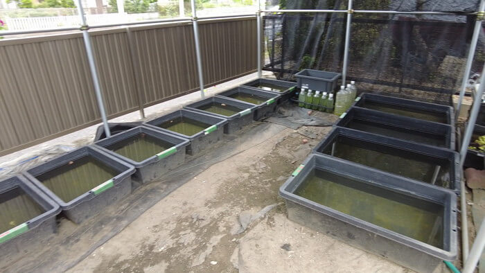 御魚工房 阿舞座屋