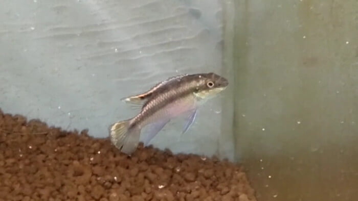 御魚工房 阿舞座屋