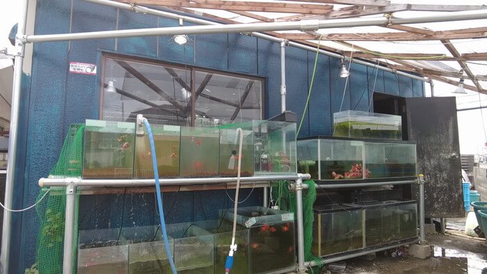 御魚工房 阿舞座屋