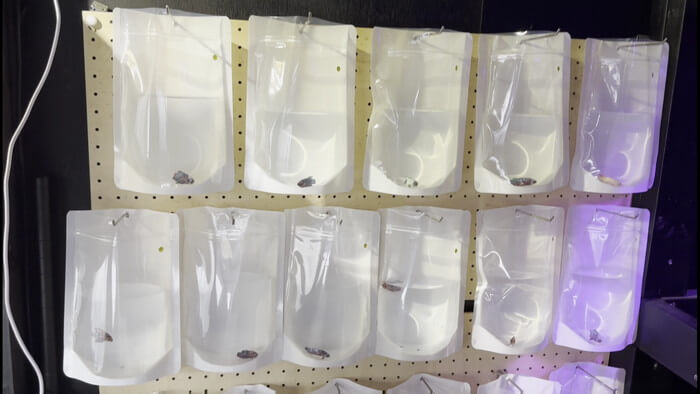 御魚工房 阿舞座屋