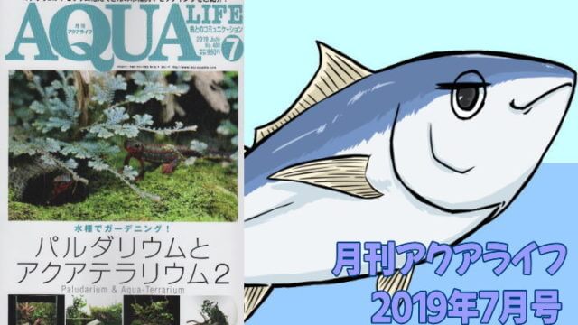 アクアライフ2019年07月号 パルダリウムとテラリウ2