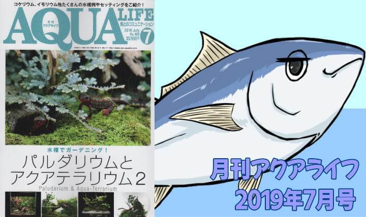 アクアライフ2019年07月号 パルダリウムとテラリウ２