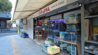 アクアランド・まっかちん