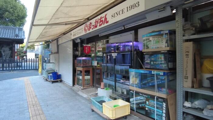 アクアランド・まっかちん