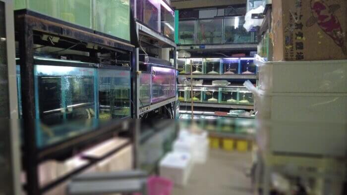 アクアランド・まっかちん