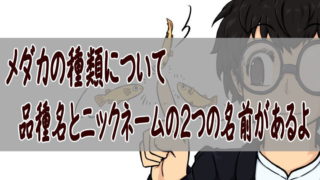 メダカの種類について – 改良メダカには品種名とニックネームの2つの名前があるよ