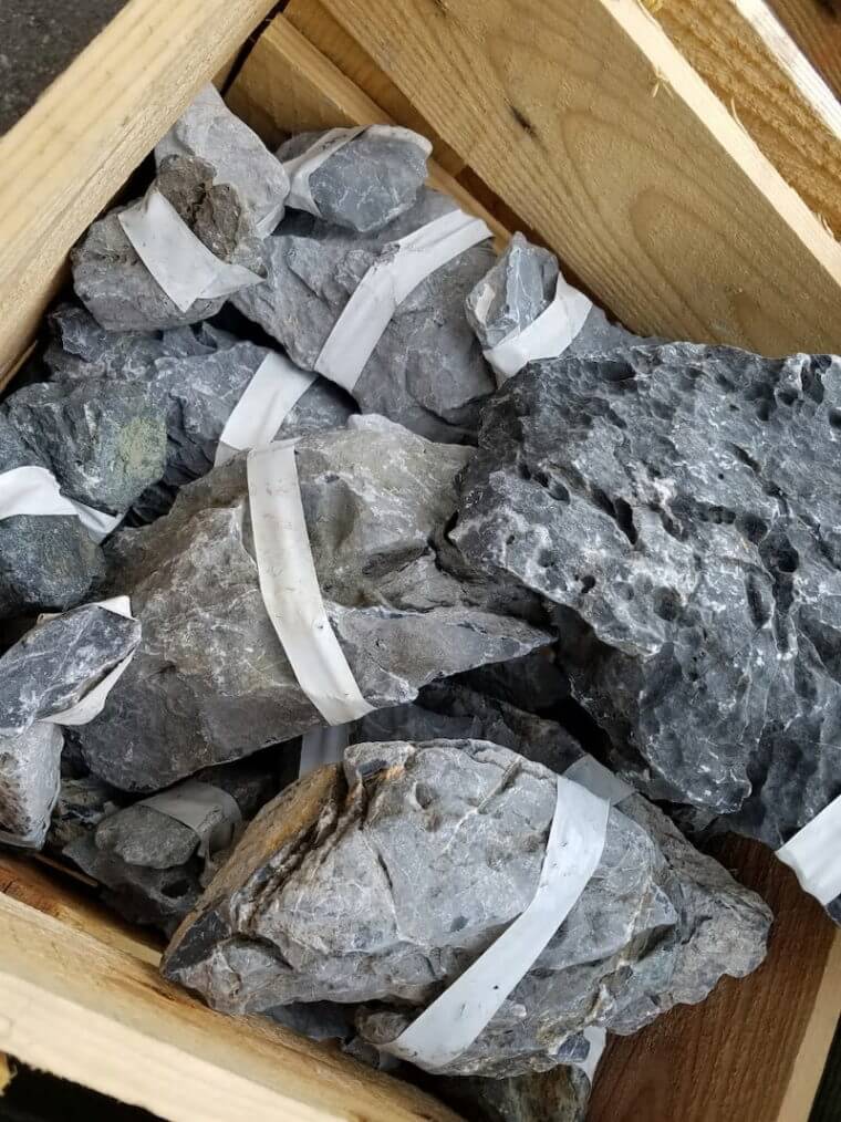 ピーターズワールド