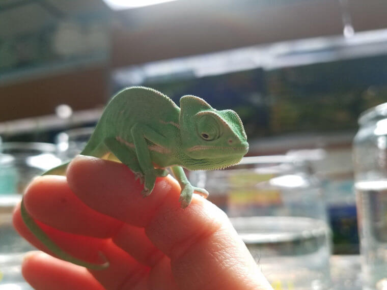 ピーターズワールド