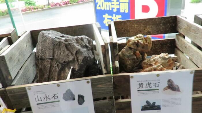 東京サンマリン