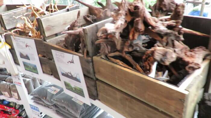 東京サンマリン