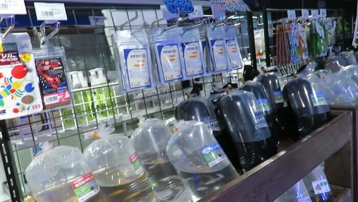 東京サンマリン