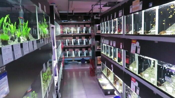 東京サンマリン