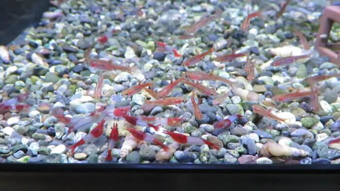 東京サンマリン