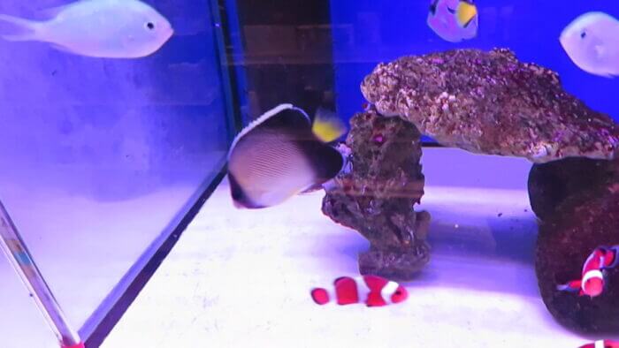 東京サンマリン