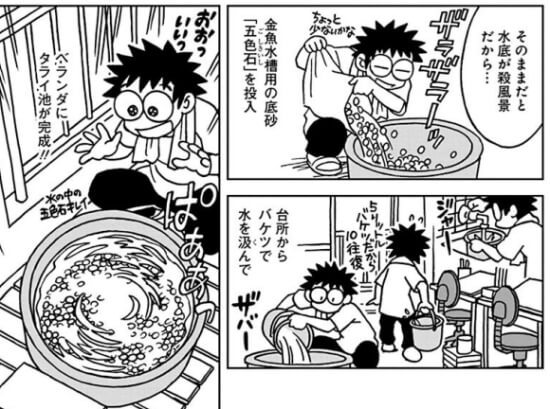 出典:ベランダビオトープ