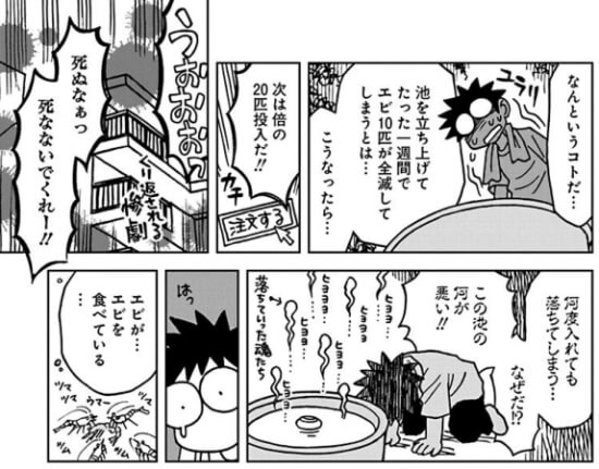 出典:ベランダビオトープ