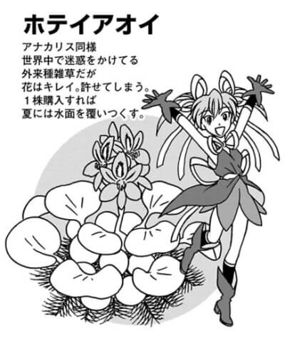 出典:ベランダビオトープ