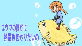 ユウマの静かに熱帯魚をやりたいのアイキャッチ画像