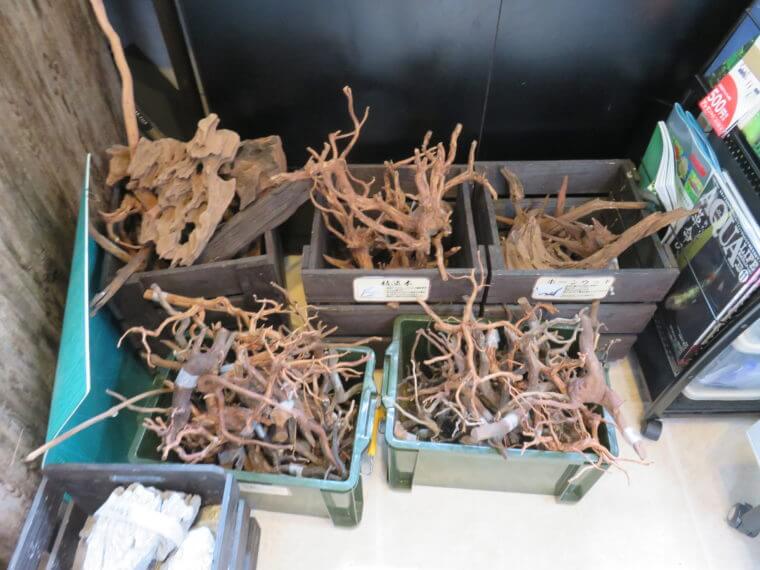 リトルインテリアアクアリウム