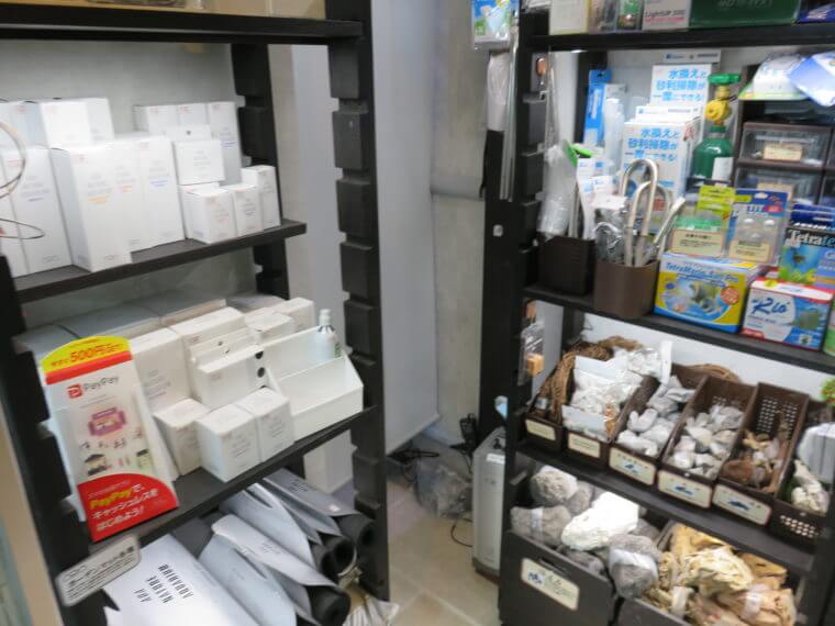 リトルインテリアアクアリウム