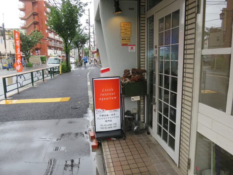 リトルインテリアアクアリウム