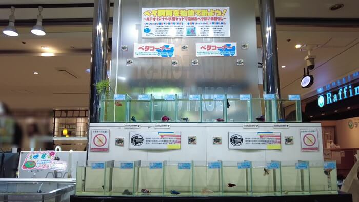 アクアフォレスト新宿店