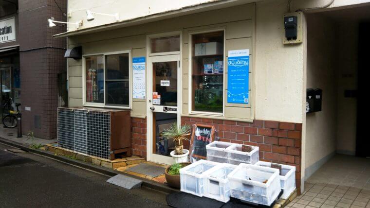 aQualite（アクアライト）