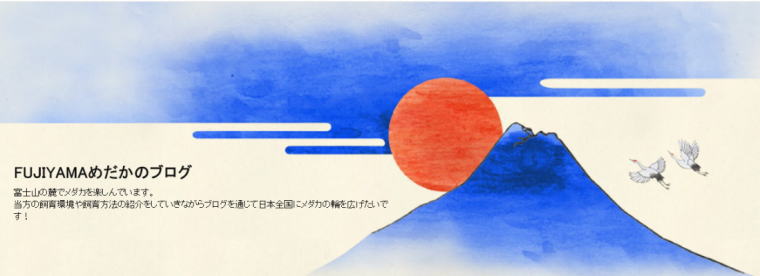 FUJIYAMAめだかのブログ