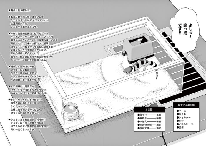 出典:秘密のレプタイルズ