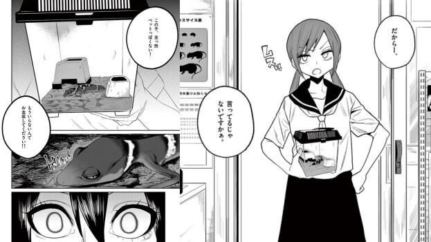 出典:秘密のレプタイルズ