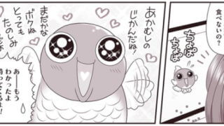 出典:金魚に首ったけ