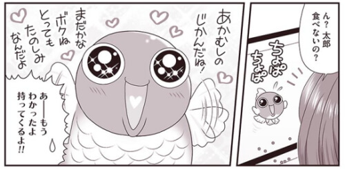 出典:金魚に首ったけ