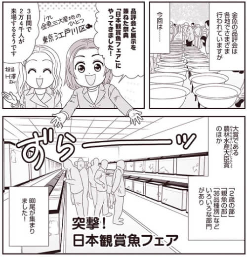 出典:金魚に首ったけ