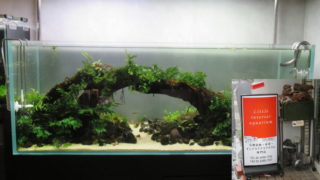 リトルインテリアアクアリウム
