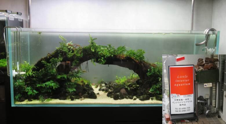 リトルインテリアアクアリウム