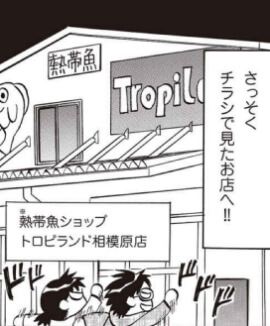 出典:爆笑!マンガはじめてのアクアリウム