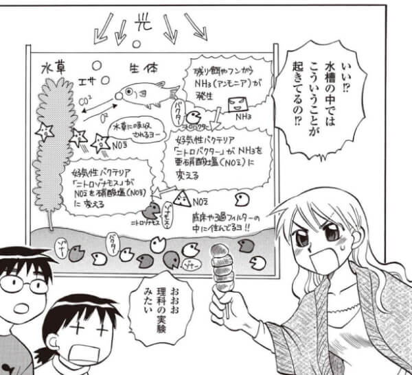 出典:爆笑！マンガはじめてのアクアリウム