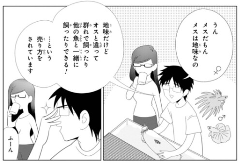 出典:メダカくん、さよなら。