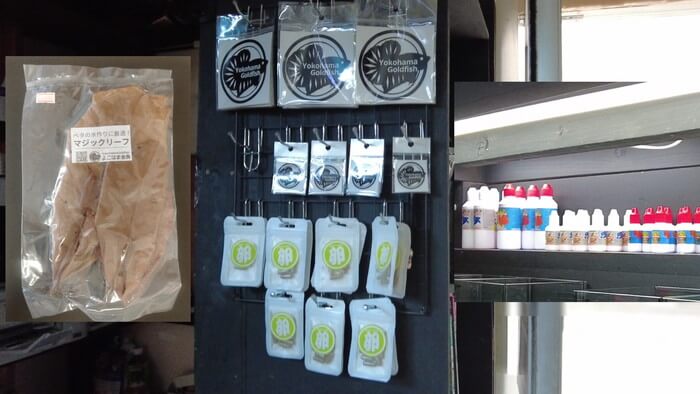 よこはま金魚本店