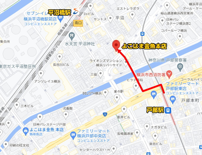 よこはま金魚本店マップ