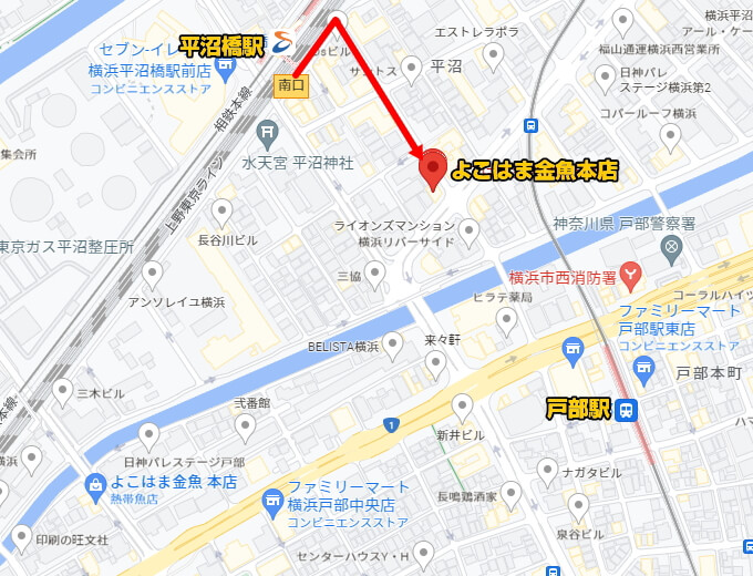 よこはま金魚本店マップ