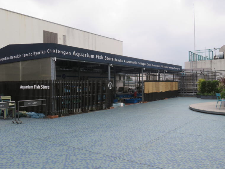 西武池袋本店9F屋上フィッシュショップ