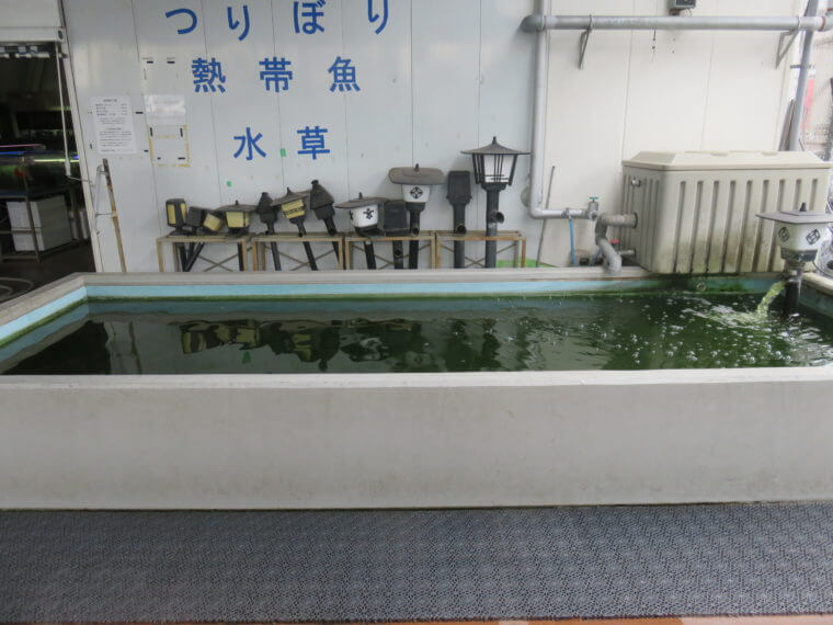 西武池袋本店9F屋上フィッシュショップ