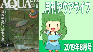 アクアライフ2019年08月号 日本の魚に、出会う夏　~水槽で、フィールドで~