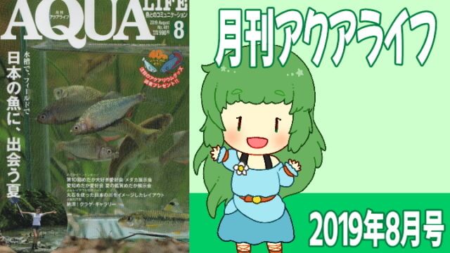 アクアライフ2019年08月号 日本の魚に、出会う夏　~水槽で、フィールドで~