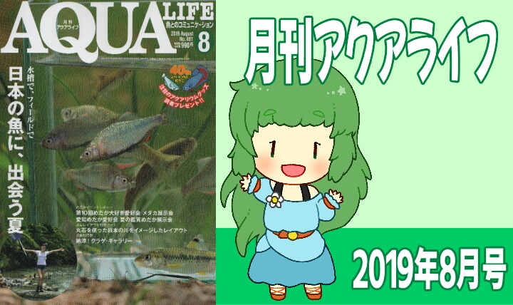 アクアライフ2019年08月号 日本の魚に、出会う夏　~水槽で、フィールドで~