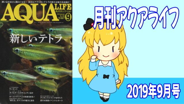 アクアライフ2019年09月号 新しいテトラ