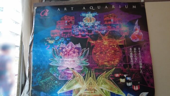 岩嵜商店(金魚)