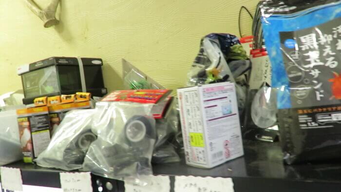 東京めだか流通センター