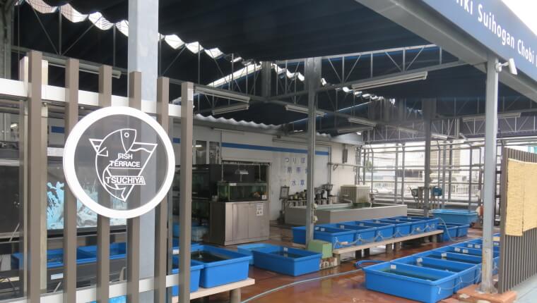 西武池袋本店9F屋上フィッシュショップ